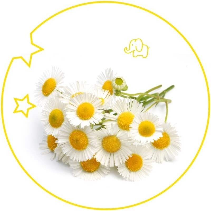 Yodeyma parfum kids 15 ml