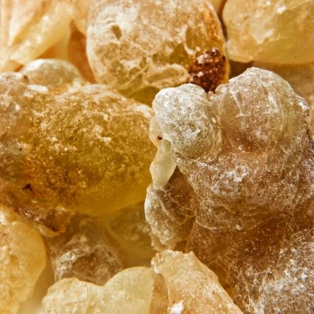 The niche collection                                                  Ambrax eau the parfum 15ML