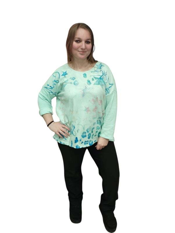 Trui star (40/46 & meerdere kleuren ) Trui star (40/46 & meerdere kleuren )