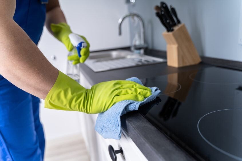General Cleaning - 10% monthly payment