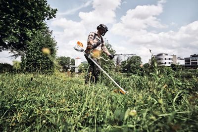 STIHL FSA 250 / DM 300-3