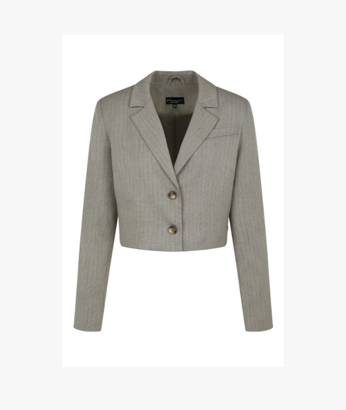 Blazer Claire Taupe Stripe