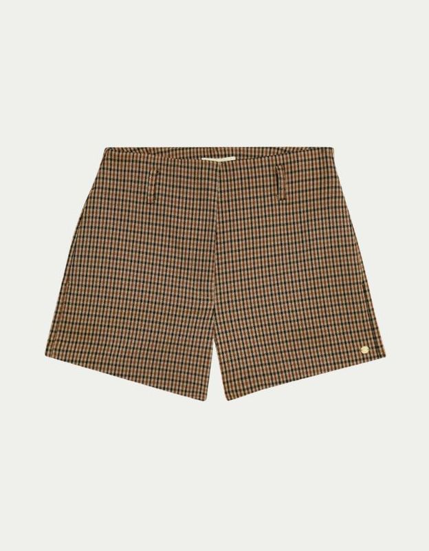 Damy Brown Check