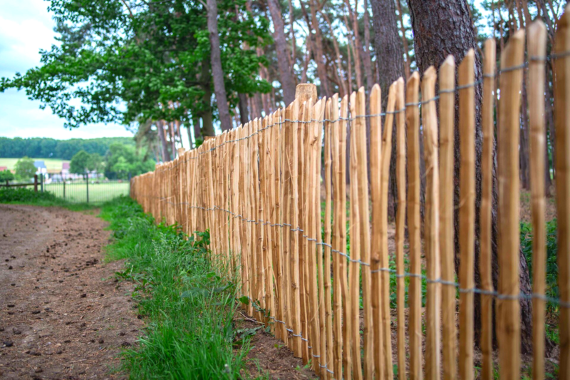 Kastanje hekwerk als bosomheining.