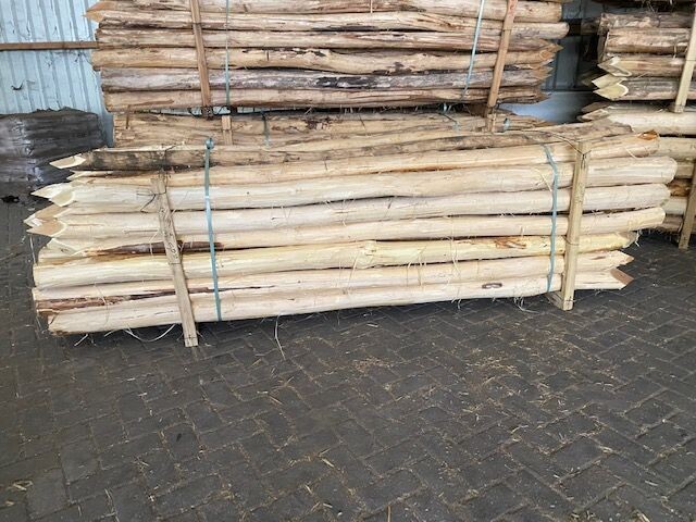 Pallet robinia palen ø 12-14 cm, 300 cm.