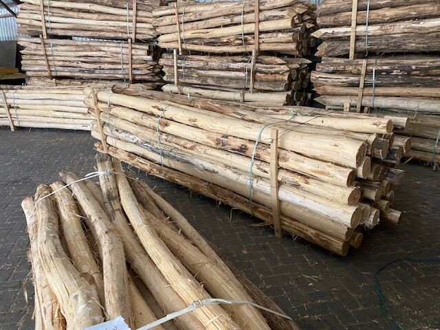 Robinia palen diameter 14-16 cm.