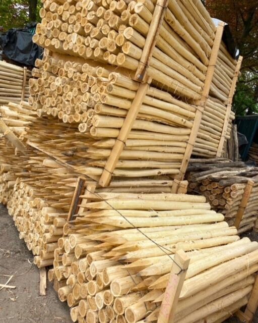 Robinia palen diameter 8-10 cm