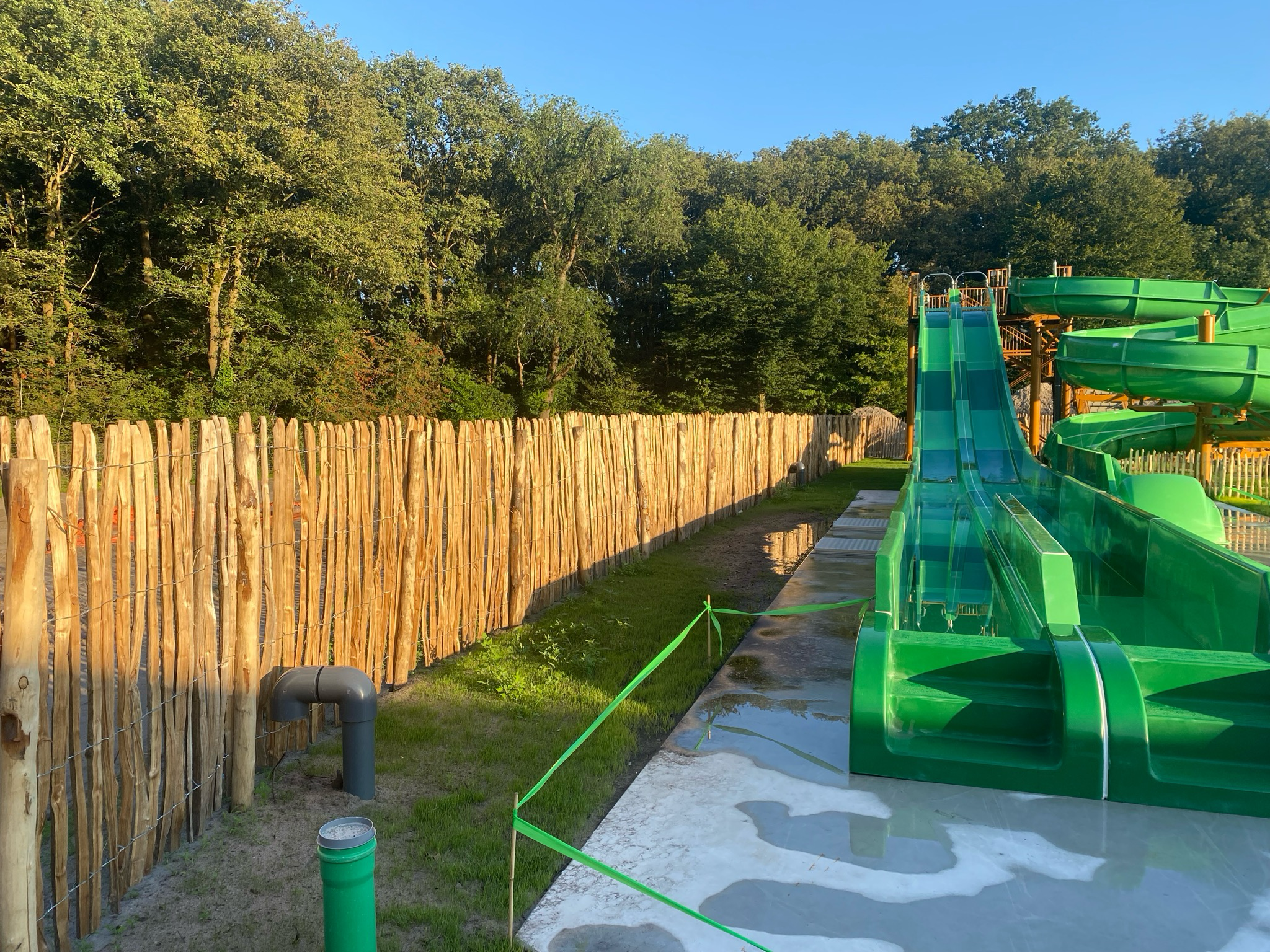 Robinia hekwerk verschillende hoogtes