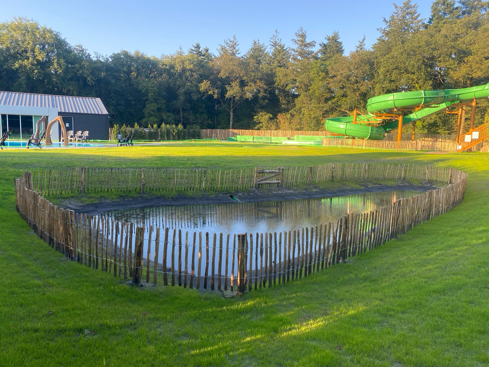 Robinia hekwerk 80 cm uitgerold. 