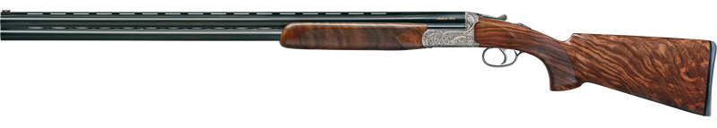 ZOLI Ambassador