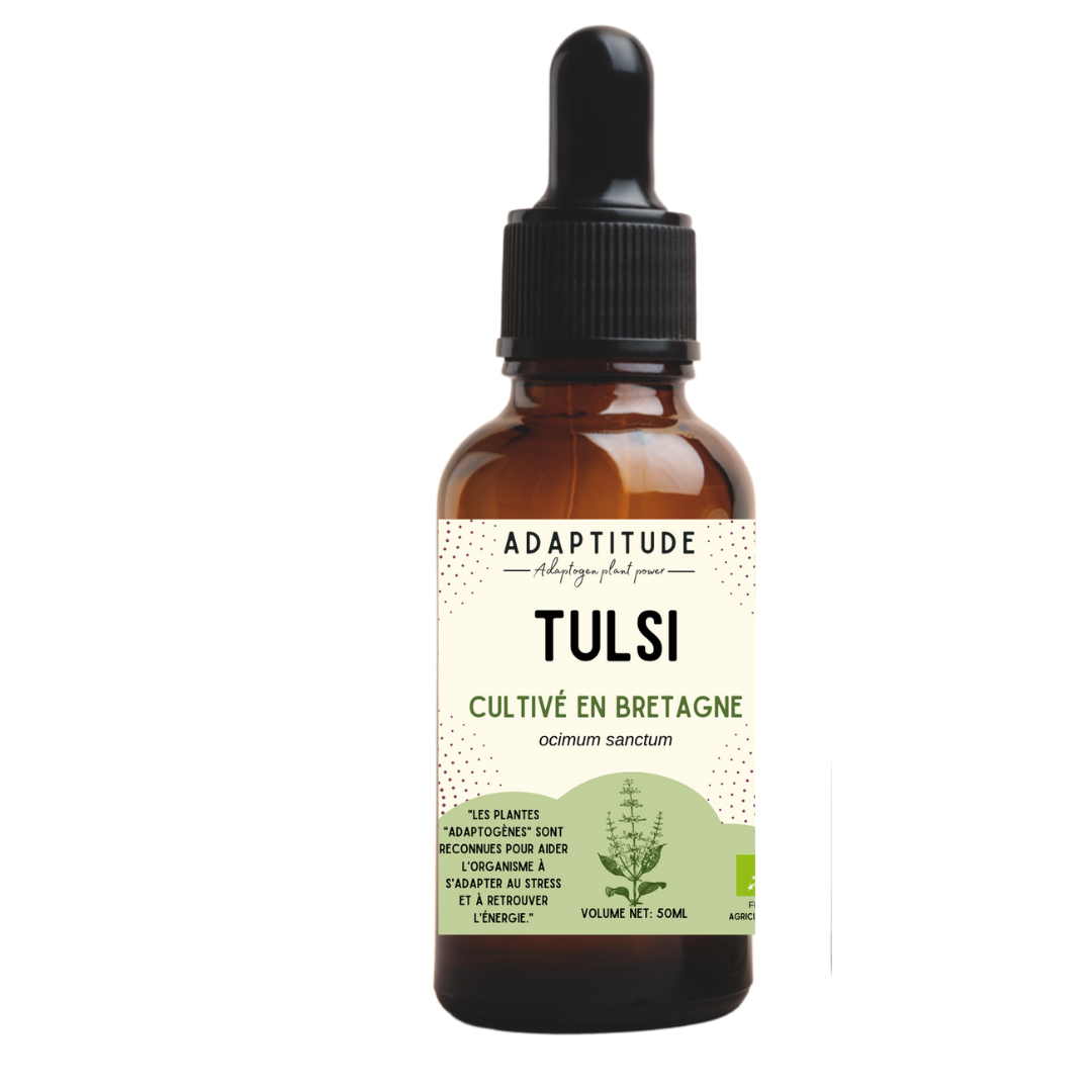 Extrait de tulsi bio & local (50ml)