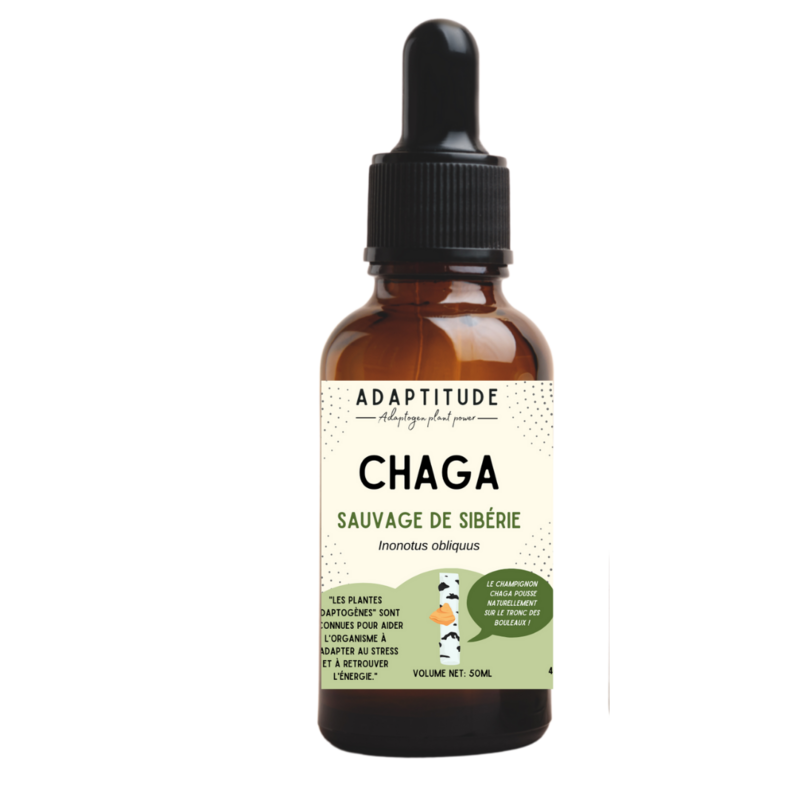 Extrait de chaga sauvage (50ml)