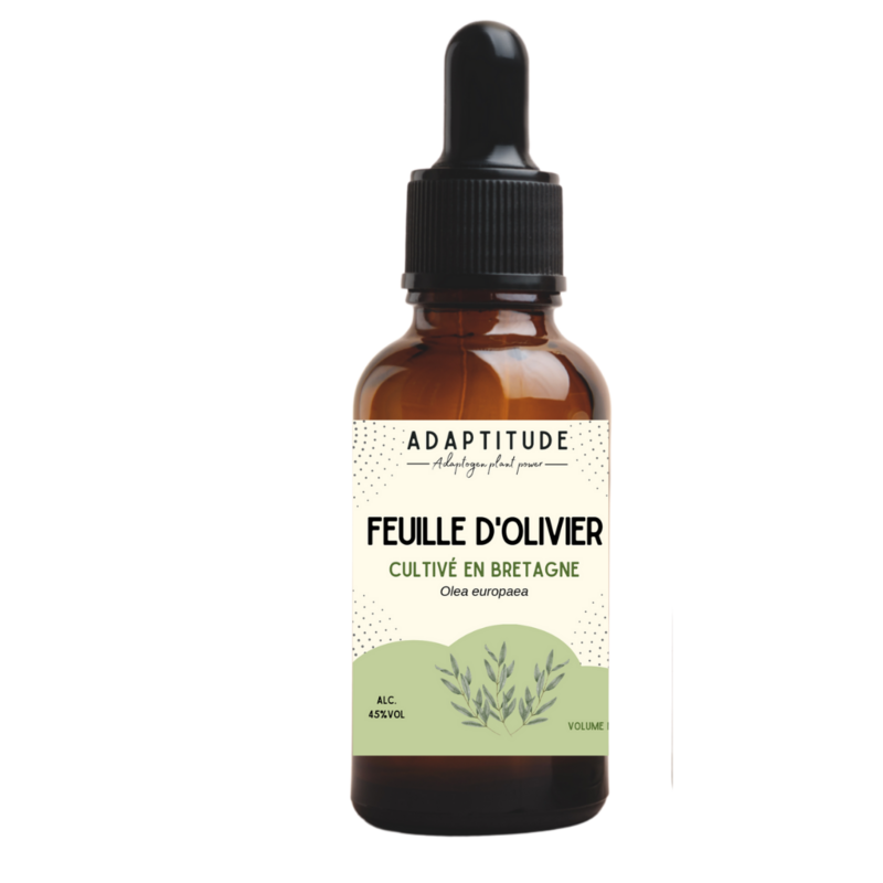 Extrait
de feuille d'olivier
local (50ml)