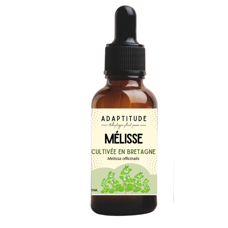 Extrait de Mélisse (50ml)