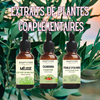 Plantes complémentaires