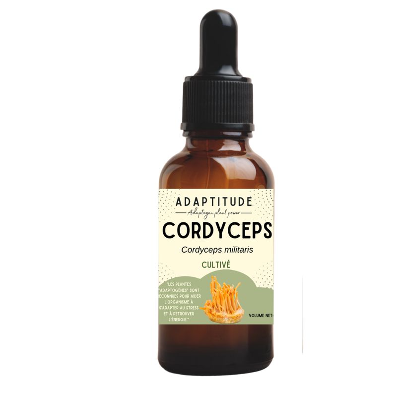NEW ! Extrait de Cordyceps (50ml)