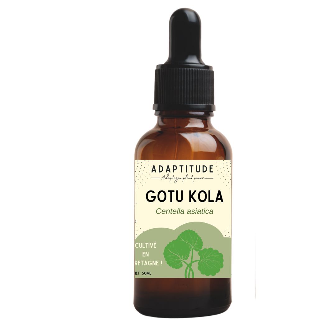 Extrait de Gotu kola local (50ml)