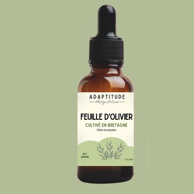 Extrait de feuille d'olivier local (50ml) Extrait de feuille d'olivier local (50ml)