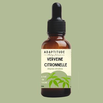 Extrait de Verveine citronnelle locale (50ml) Extrait de Verveine citronnelle locale (50ml)