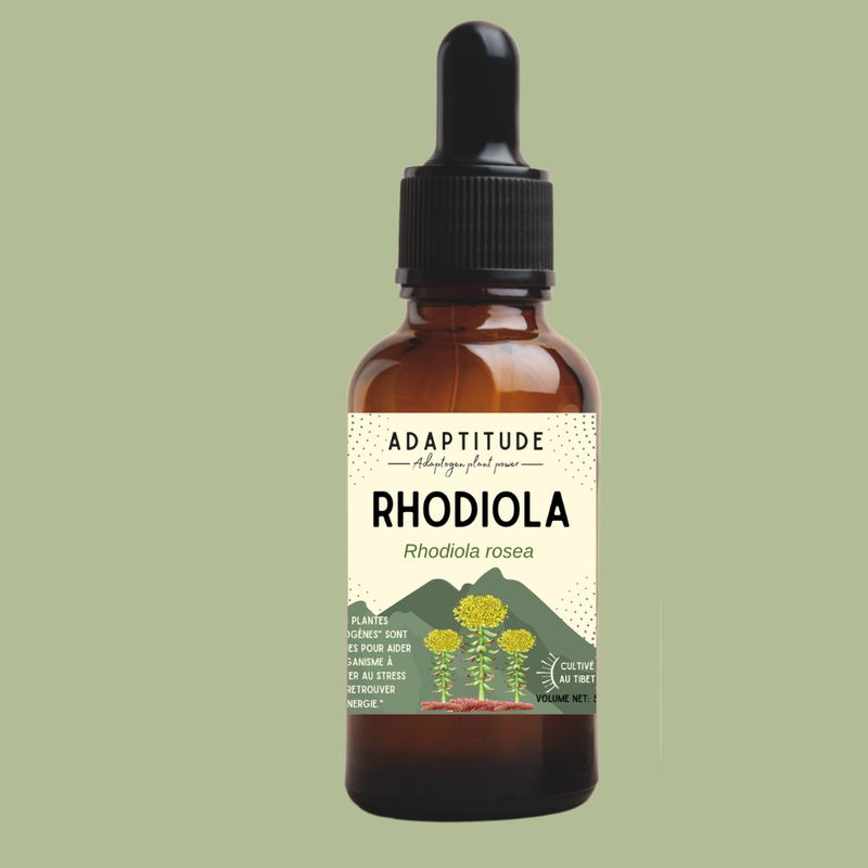 Extrait de Rhodiola (50ml)