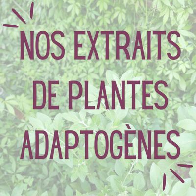 Plantes adaptogènes