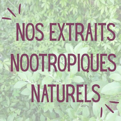 Nootropiques naturels