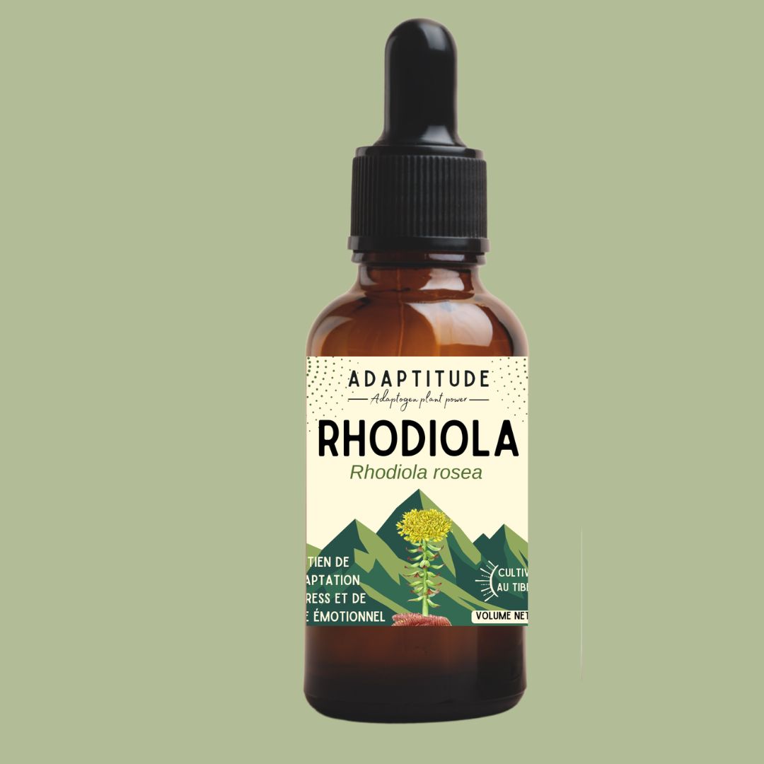 Extrait de Rhodiola (50ml) Extrait de Rhodiola (50ml)