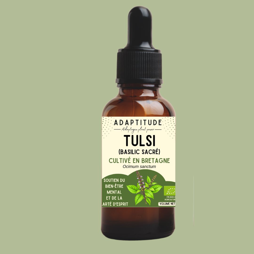 Extrait de Tulsi bio & local (50ml)