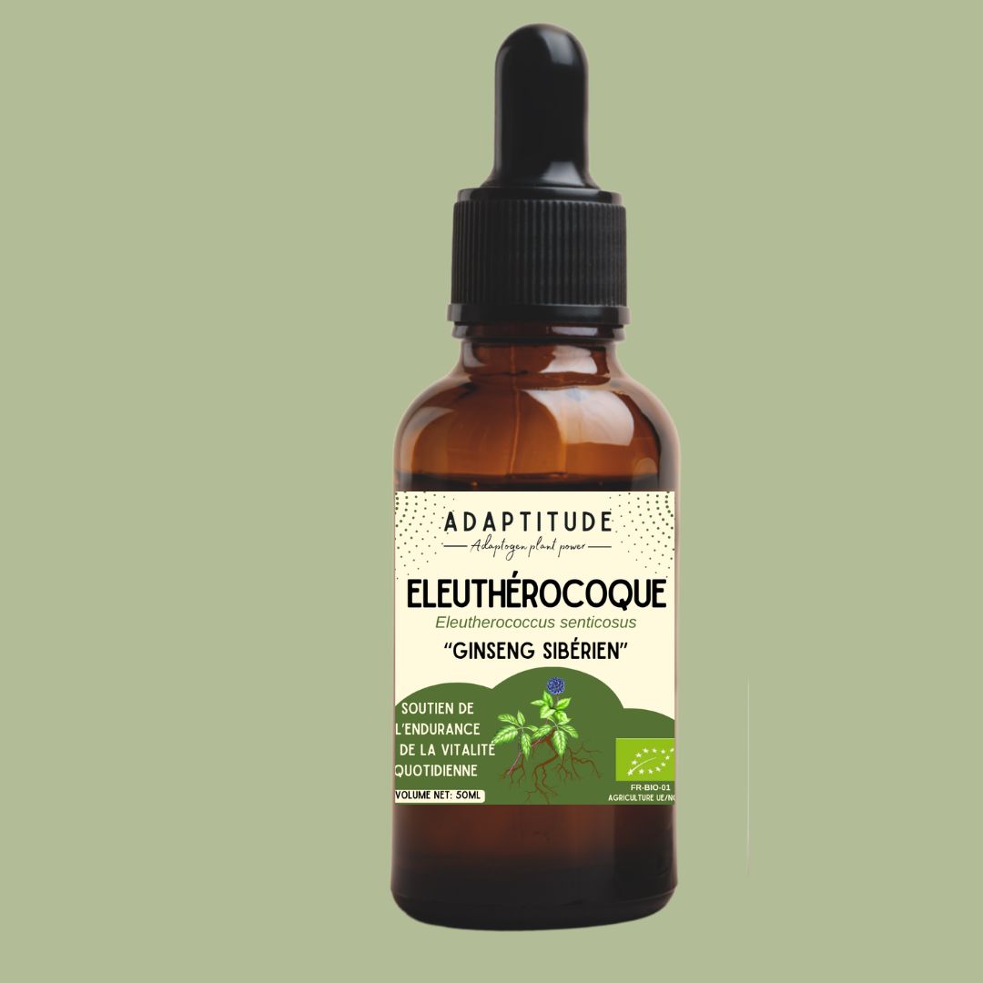 Extrait d'Eleuthérocoque bio (50ml) Extrait d'Eleuthérocoque bio (50ml)