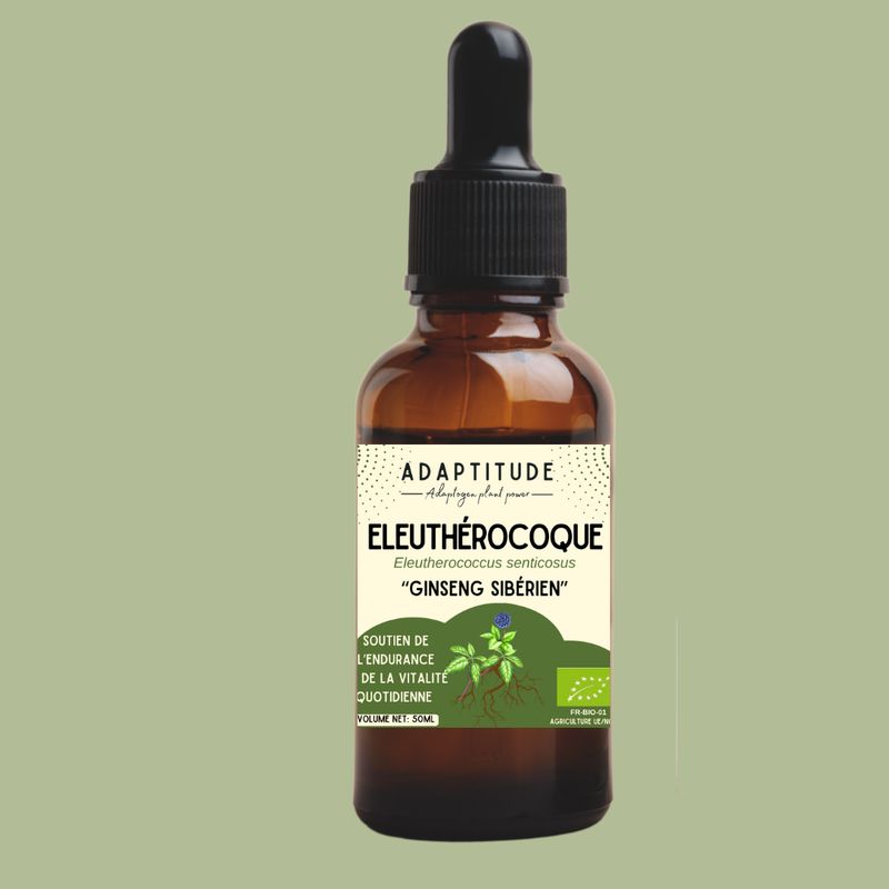 Extrait d'Eleuthérocoque bio (50ml) Extrait d'Eleuthérocoque bio (50ml)