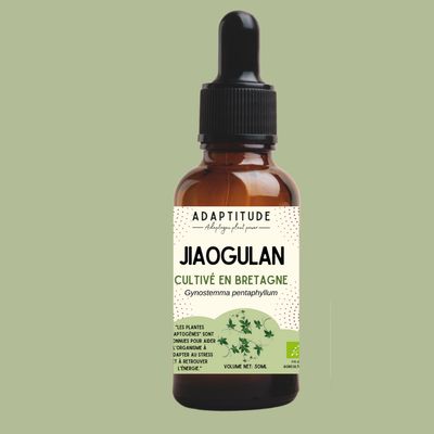 Extrait de Jiaogulan local (50ml) Extrait de Jiaogulan local (50ml)