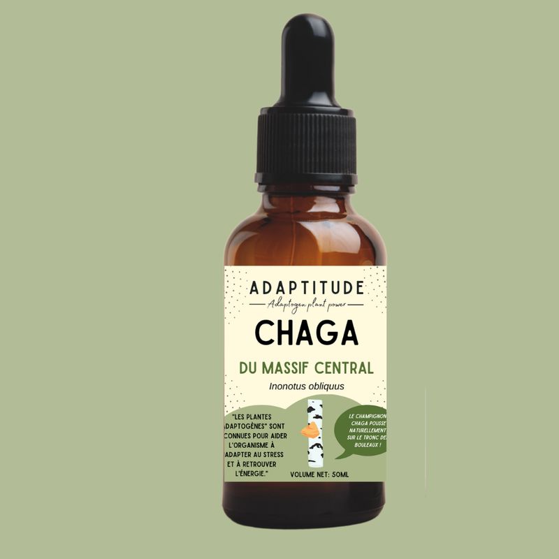 Extrait de Chaga Bio (50ml) Extrait de Chaga Bio (50ml)