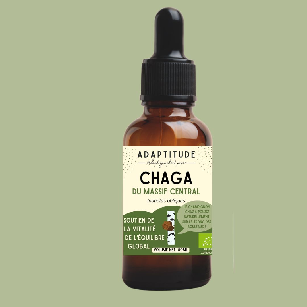 Extrait de Chaga Bio (50ml) Extrait de Chaga Bio (50ml)