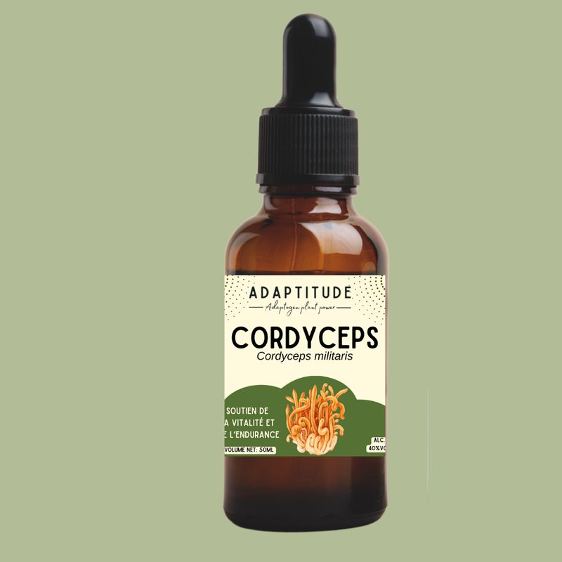 Extrait de Cordyceps (50ml) Extrait de Cordyceps (50ml)