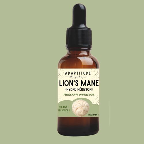 NEW ! Extrait de Lion's mane (50ml) NEW ! Extrait de Lion's mane (50ml)