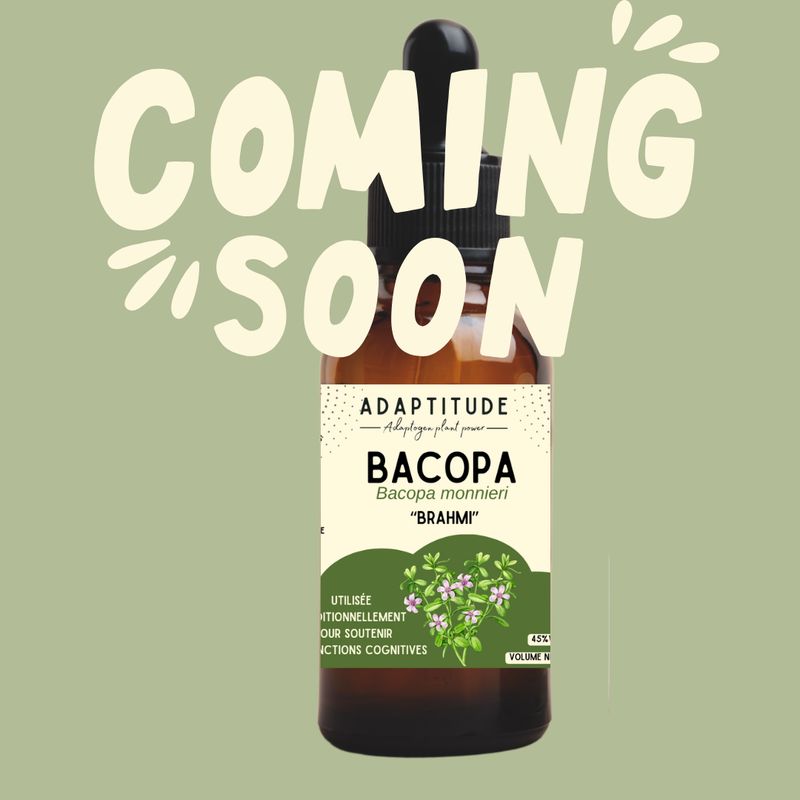 Extrait de Bacopa/Brahmi local (50ml)