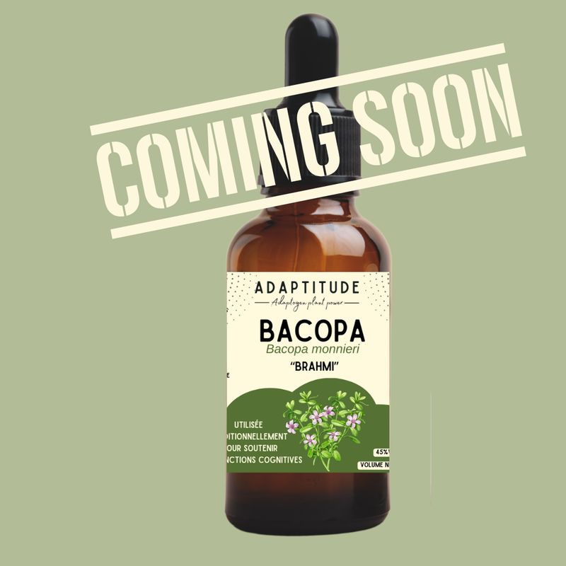 Extrait de Bacopa (Brahmi) local (50ml) Extrait de Bacopa (Brahmi) local (50ml)