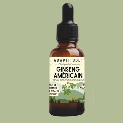 NEW ! Extrait de Ginseng américain (30ml) NEW ! Extrait de Ginseng américain (30ml)