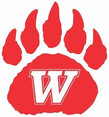Wadsworth Local School