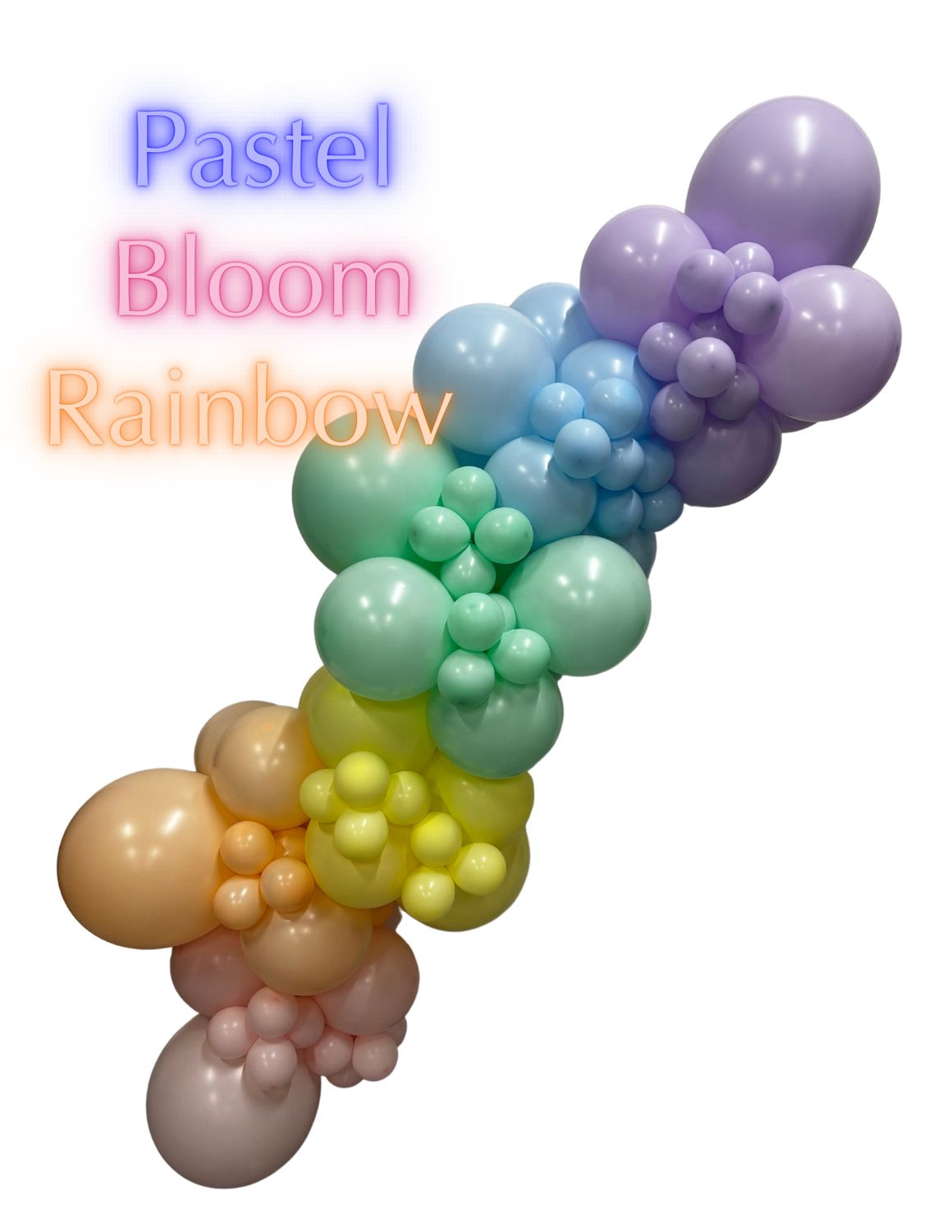 Pastel Bloom Rainbow Pastel Bloom Rainbow