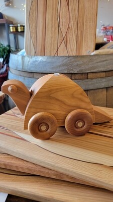 Ted The Turtle, Cherrywood