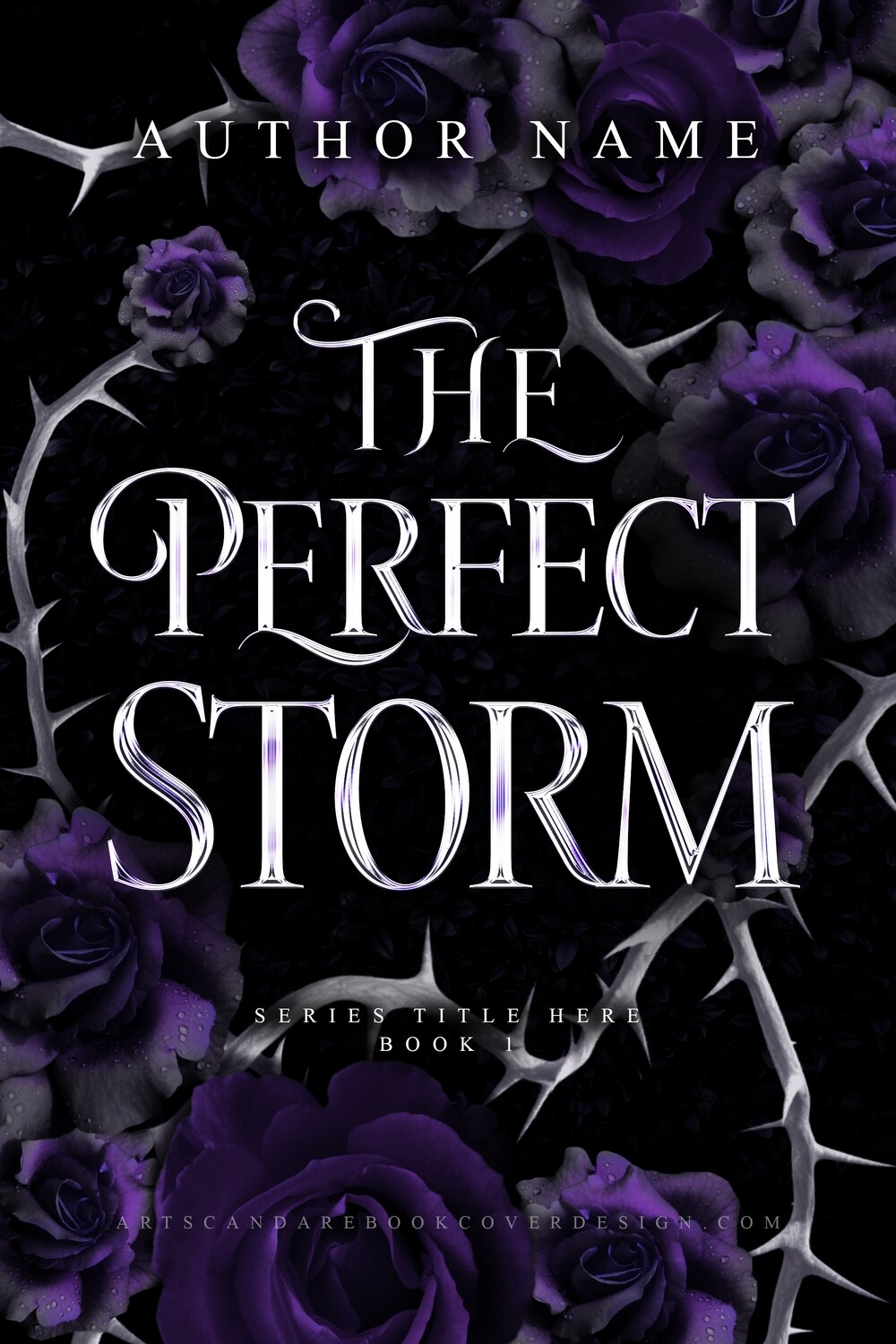 THE PERFECT STORM