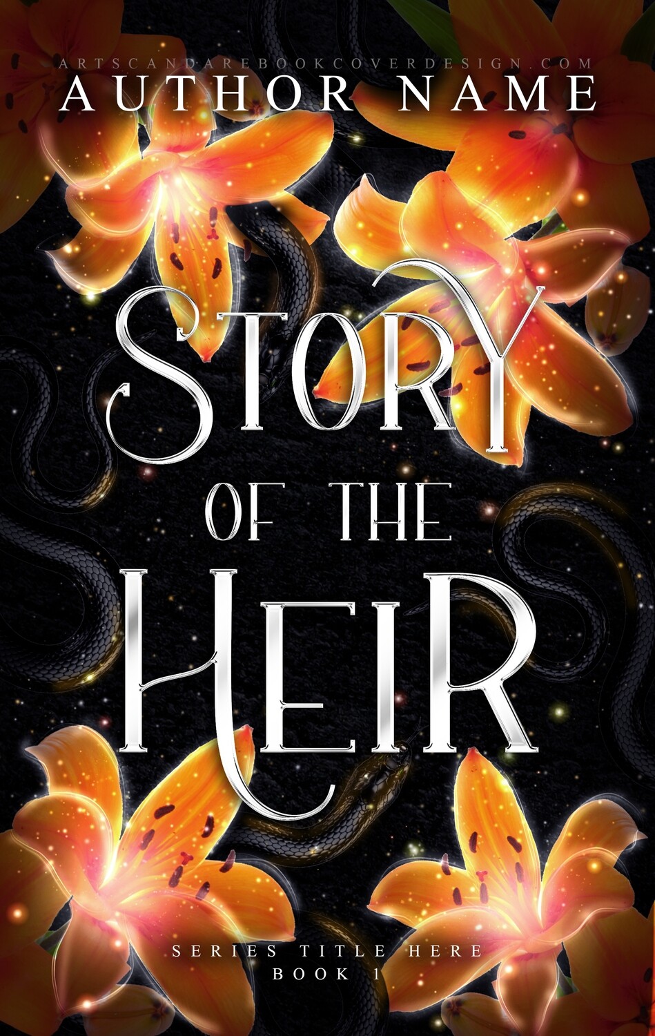 STORY OF THE HEIR