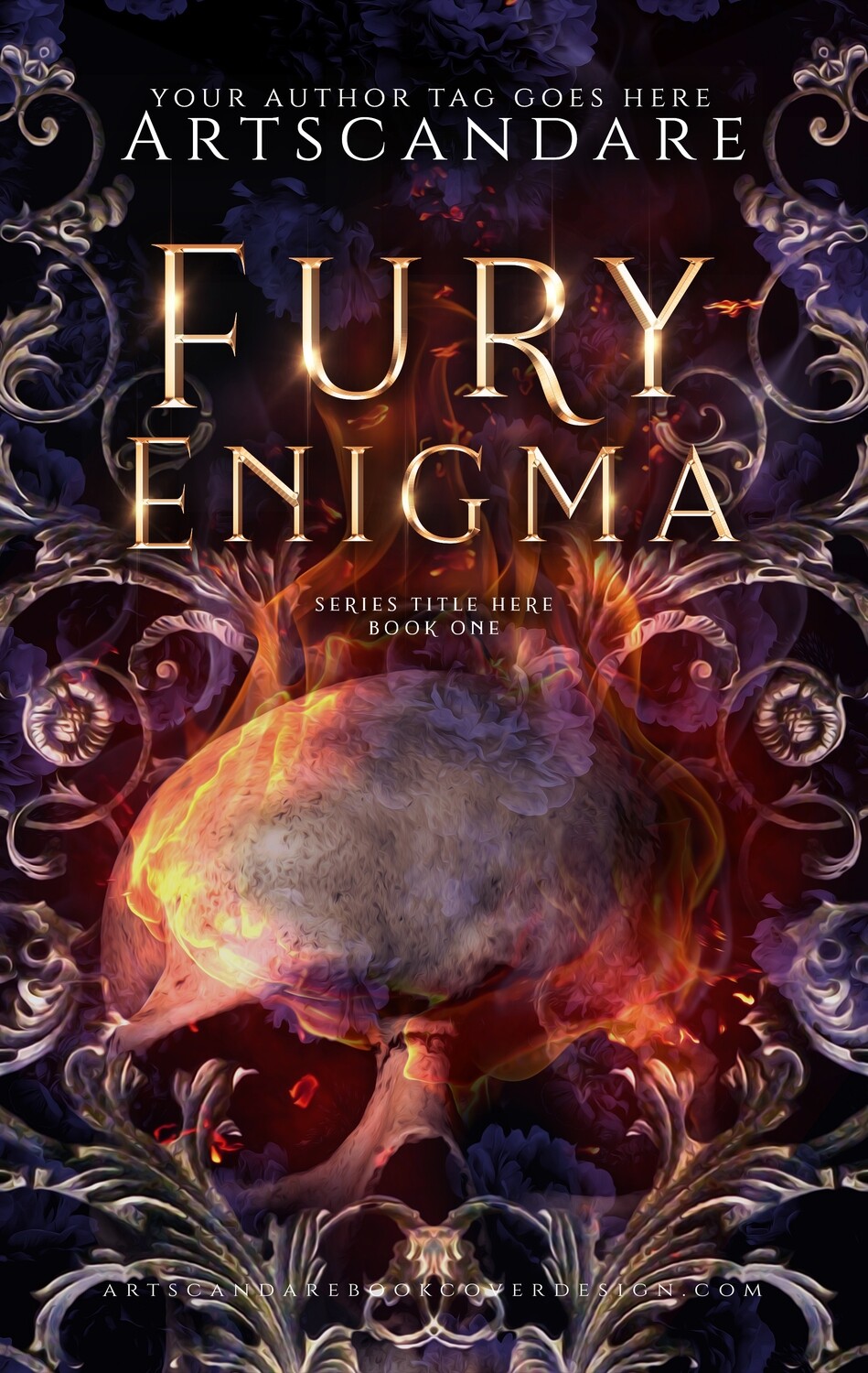 FURY ENIGMA