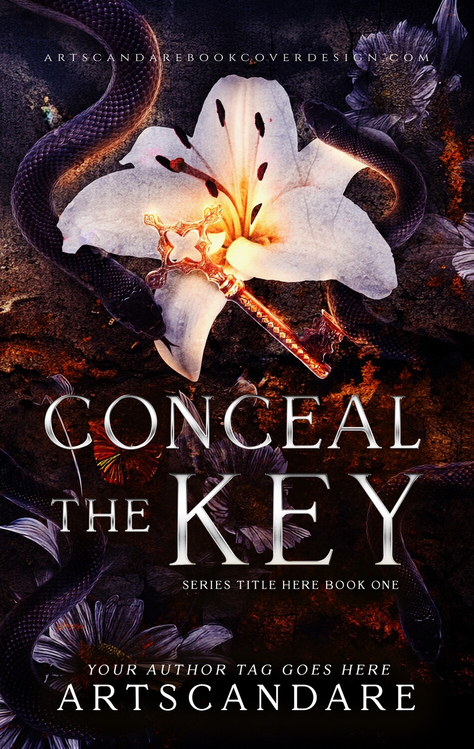 CONCEAL THE KEY