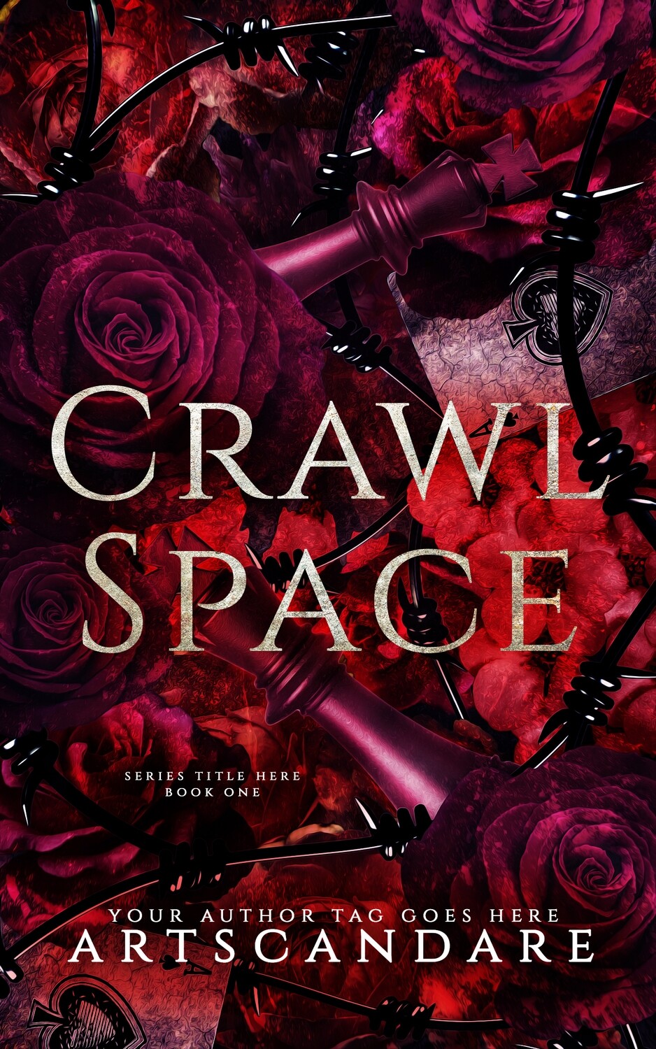CRAWL SPACE