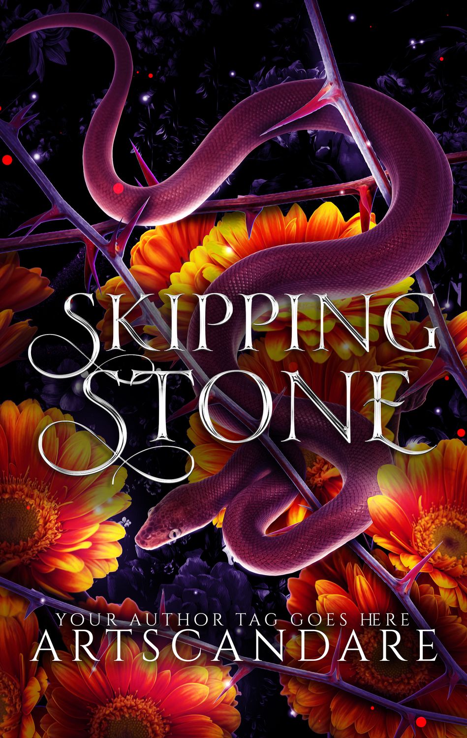 SKIPPING STONE