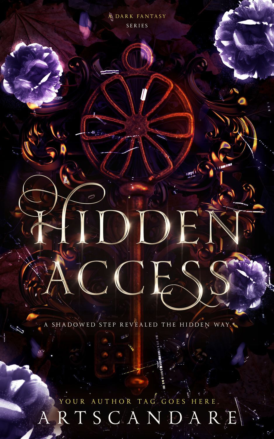 HIDDEN ACCESS