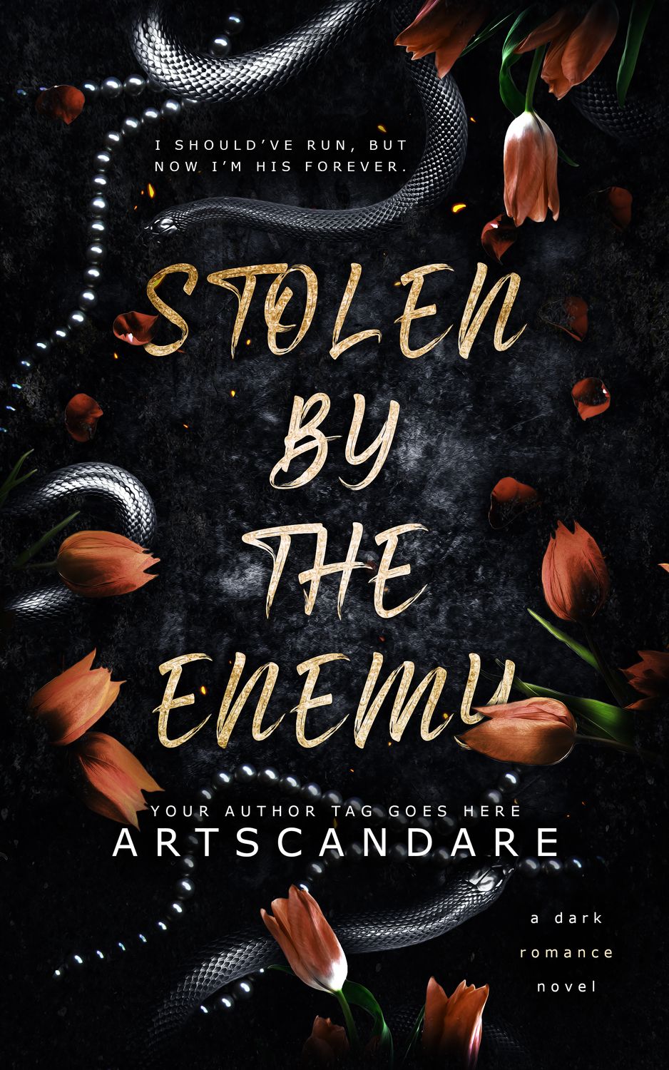 STOLEN BY THE ENEMY