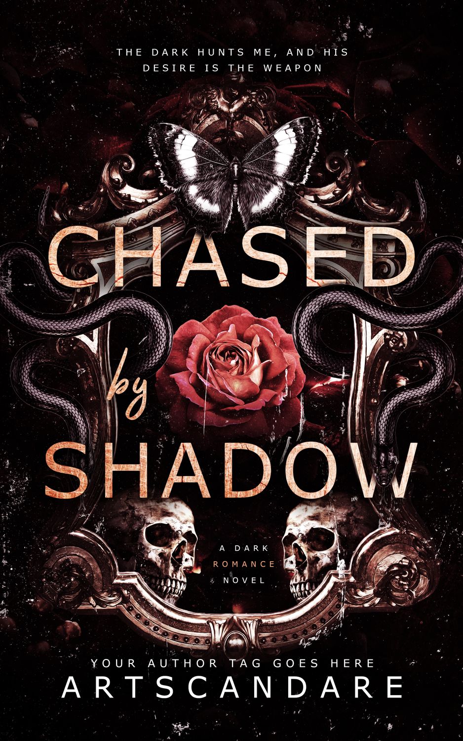 CHASED BY SHADOW
